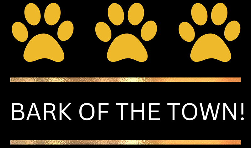 Bark of the Town logo